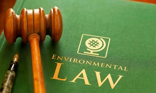 Environmental Lawyers