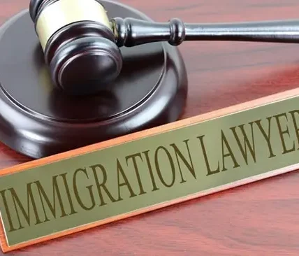 Immigration-Lawyer