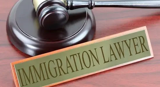 Immigration-Lawyer