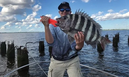 Sheepshead